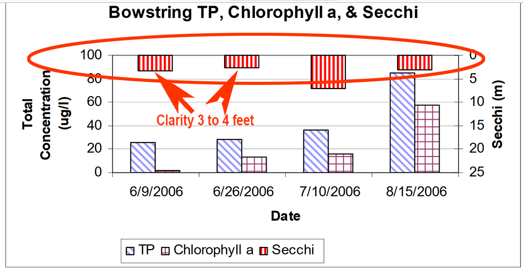 image of water quality chart from bowstring lake report 2006
